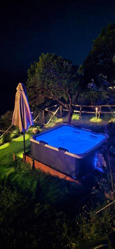 a swimming pool in a yard with an umbrella at Solecore Amalficoast in Conca dei Marini