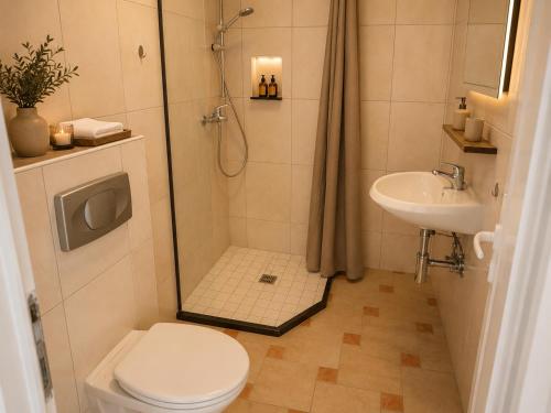 a bathroom with a shower and a toilet and a sink at Villa Illyria in Donji Štoj
