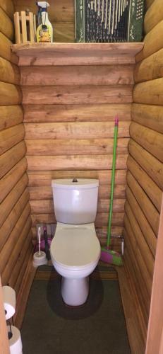 a bathroom with a toilet in a wooden wall at Pas Jolantą in Ignalina
