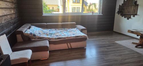 a couch and a bed in a living room at Pas Jolantą in Ignalina