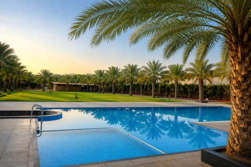 a swimming pool with a palm tree in the foreground at Shunyata Eco Resort Junagadh in Vadal