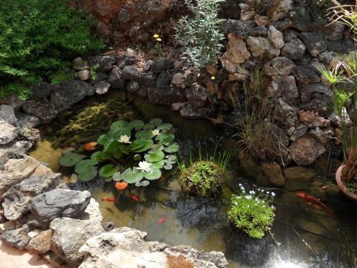 La Bastide des Templiers – Photos 5
