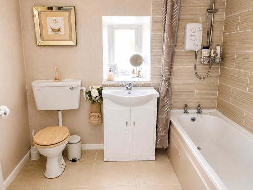 a bathroom with a toilet and a sink and a tub at Daffodil Lodge in Sligo