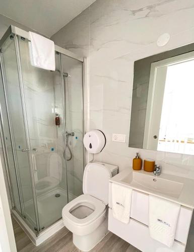 a bathroom with a shower and a toilet and a sink at Apartamento T1 - MedSal Residence in Santa Maria