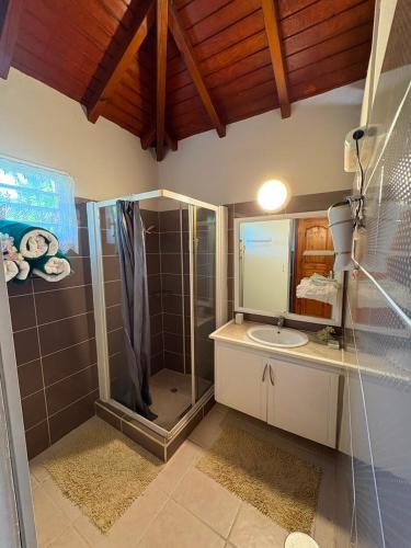 a bathroom with a shower and a sink at Gite d'arles Bungalow "La Rose" in Le Moule