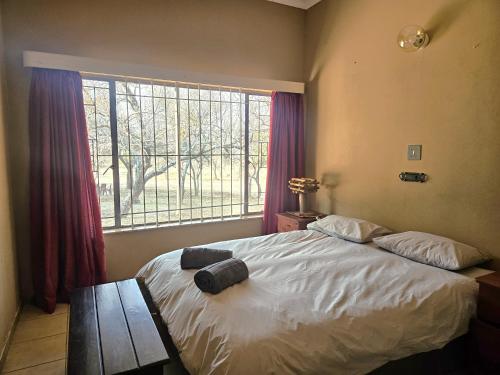 a bedroom with a large bed and a window at Tambuki Backpackers & Self-catering - Dinokeng in Hammanskraal