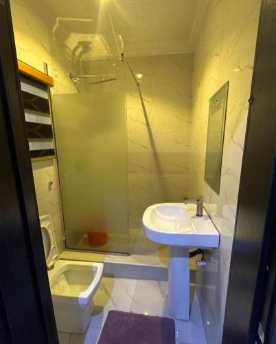 a bathroom with a sink and a shower and a toilet at Six Diamond Hotel in Ikeja