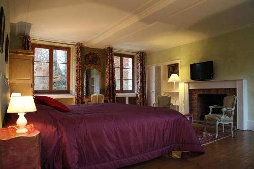 a bedroom with a large bed and a fireplace at Hostellerie Du Château Les Muids in La Ferté-Saint-Aubin