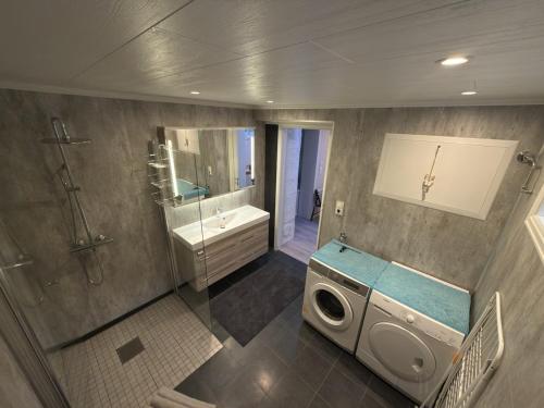 a bathroom with a washing machine and a sink at Flakstadveien - Sentralt, midt i Lofoten in Napp