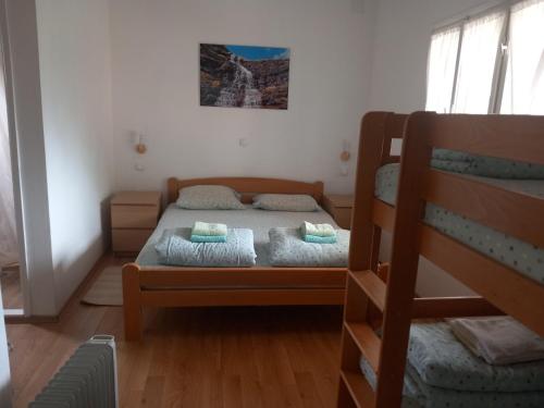 a bedroom with two beds and a bunk bed at Smestaj kod Sneze in Dojkinci