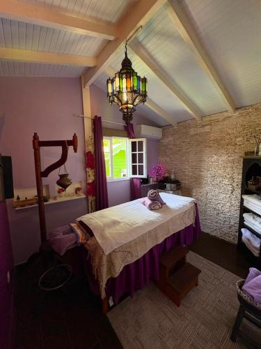 a bedroom with a bed and a chandelier at Gite d'Arles "Villa Doudou" in Le Moule