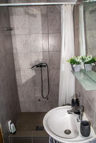 ein Badezimmer mit Dusche und Waschbecken in der Unterkunft Sobe HUBERTUS Lipovac Bajakovo in Lipovac
