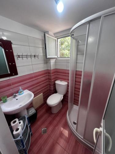 a bathroom with a toilet and a sink and a shower at Eli Apartments in Tale