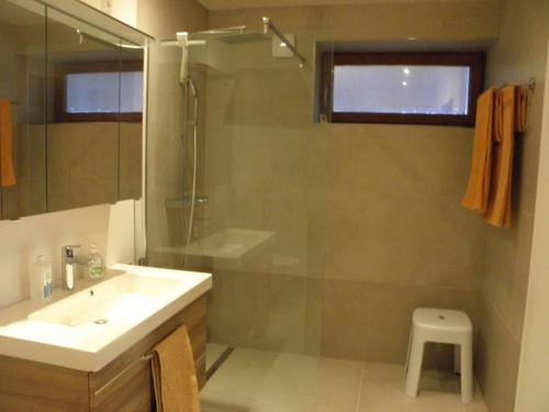 a bathroom with a sink and a shower and a toilet at Ferienwohnung-Rurseeidyll in Simmerath