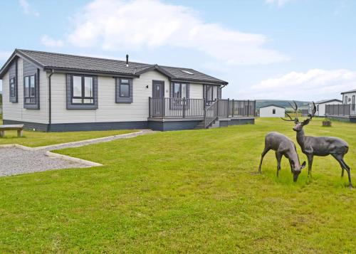 two deer standing in the grass in front of a house at Lillyhall Lodge Retreat in Workington