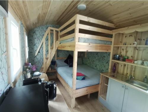 a small room with a bunk bed and a kitchen at Meadow Hut in Oughterard