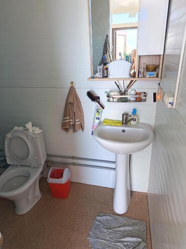 a bathroom with a sink and a toilet at Uort in Tossor