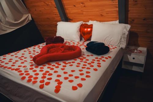 a bed with red pillows and red flowers on it at Cabana dos sonhos Chalé experience Hidro CinemaSPA in Mateus Leme