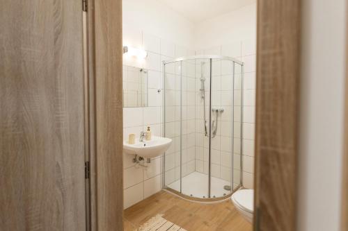 a bathroom with a shower and a sink and a toilet at Atelier Lion in Žďár nad Sázavou