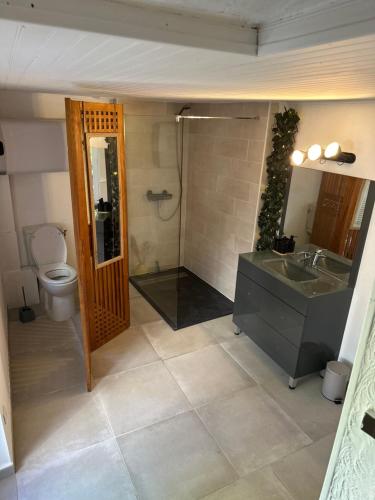 a bathroom with a toilet and a sink and a shower at Maison Icard in Sault-de-Vaucluse