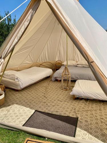 a canvas tent with two beds in it at Boscastle Bell Tents in Boscastle