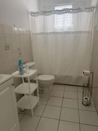 a bathroom with a toilet and a shower curtain at Modern Apartment in Las Piedras in Las Piedras
