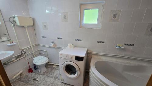 a bathroom with a washing machine and a toilet at Apartament de vacanta Criss in Buşteni