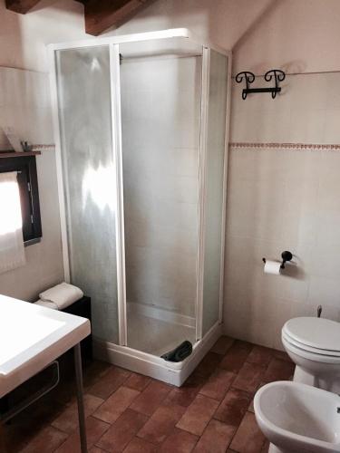 a shower in a bathroom with a toilet and a sink at Fondo Giardinetto in San Cesario sul Panaro