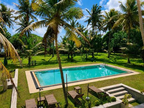 a swimming pool in a yard with palm trees at Casa Dega in Balapitiya