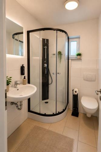 a bathroom with a shower and a sink and a toilet at Arcade Apartment Bad Oldesloe in Bad Oldesloe