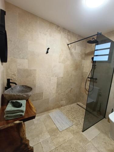 a bathroom with a shower and a sink at Monstera Lodge in Saint-Louis