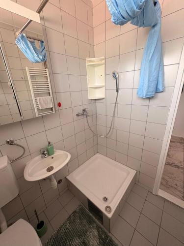 a bathroom with a shower and a sink and a toilet at Apartman Amal in Vukovar