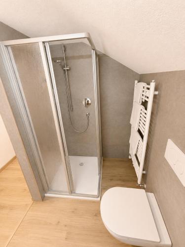 a bathroom with a shower and a toilet in a room at Gasthof Alpenblick in Tobadill