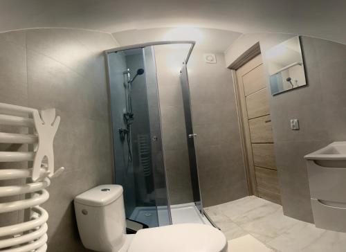 a bathroom with a shower and a toilet at Agroturystyka u Aleksa in Krajno-Zagórze