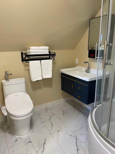 a bathroom with a toilet and a sink at UVIC Ocean View Private Guesthouse in Victoria