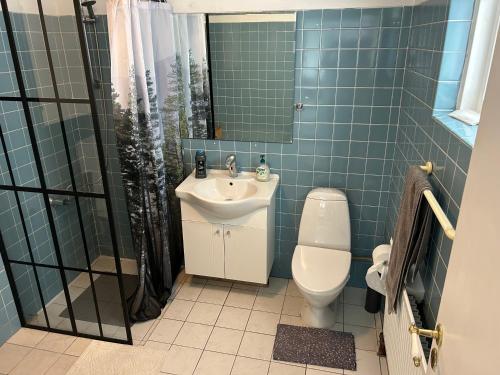 a bathroom with a toilet and a sink and a shower at FBC Roms Business in Rødby