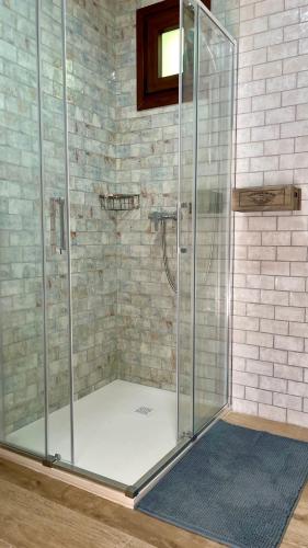 a shower with a glass enclosure in a bathroom at Golondrinas Verdes in Huelva