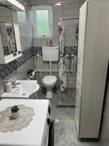 a bathroom with a white toilet and a sink at Sumski Kutak in Valjevo