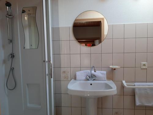 a bathroom with a sink and a mirror and a shower at Auberge des Volcans in Saint-Chamant