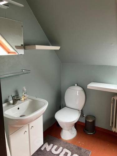 a bathroom with a white toilet and a sink at Lejlighed i Soldalen in Sindal