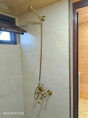a shower with a brass faucet on a wall at Akhateli in Ruispiri