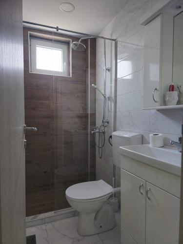 a bathroom with a shower and a toilet and a sink at Alfi apartments 1 in Belgrade