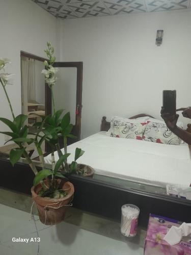 a bedroom with a bed and two potted plants at Dad's Inn by Wee Group in Andiambalama
