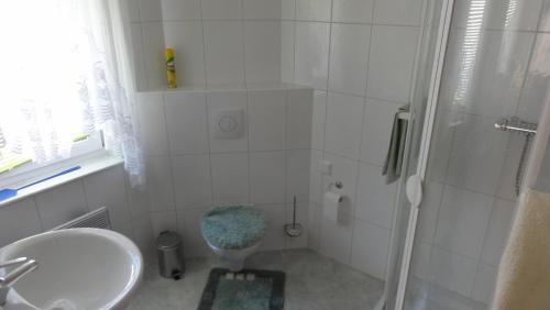 a bathroom with a shower and a sink and a toilet at Landidyll in Ummanz