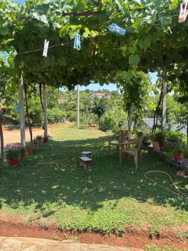 a picnic table and bench under a tree at Villa Ndoj Bukmire in Rrëshen