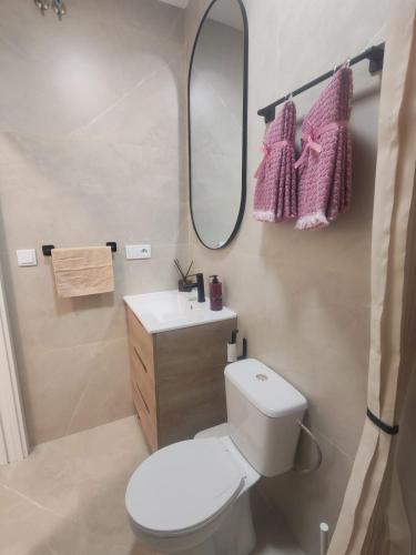 a bathroom with a toilet and a sink and a mirror at Ancha 4 en pleno centro in Sanlúcar de Barrameda