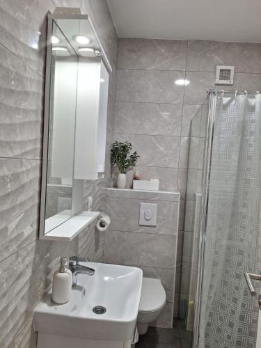 a bathroom with a sink and a mirror and a shower at Olea relax apartman in Brčko