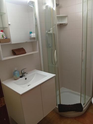 a bathroom with a sink and a shower at Empuriabrava Vue Mer in Empuriabrava
