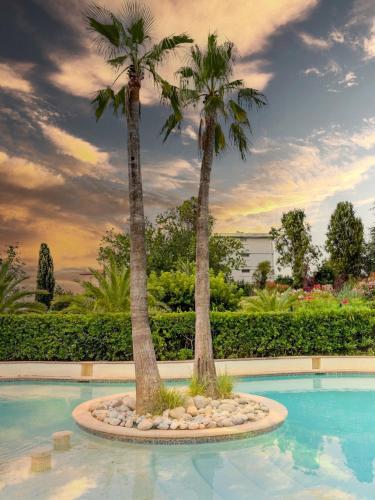 Le Palma : Élégance Piscine Clim Terrasse
