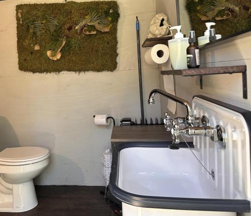 a bathroom with a sink and a toilet at Loblolly Pines Adventure Aframe #1 in Eureka Springs